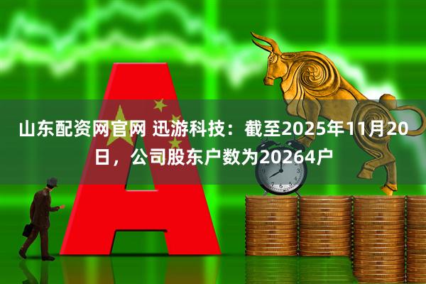 山东配资网官网 迅游科技：截至2025年11月20日，公司股东户数为20264户