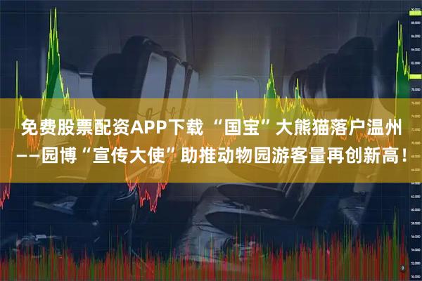 免费股票配资APP下载 “国宝”大熊猫落户温州——园博“宣传大使”助推动物园游客量再创新高!